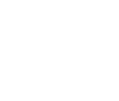 little dog studio